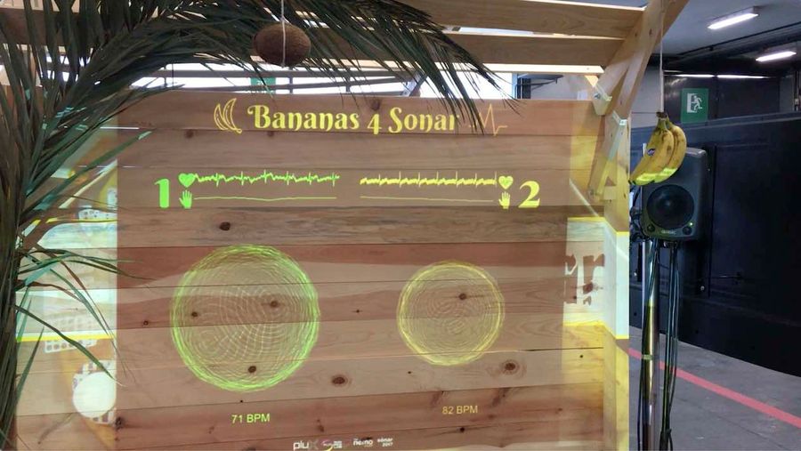 Photo of the biosignal projection on a wooden surface with hanging bananas, speakers and vegetation